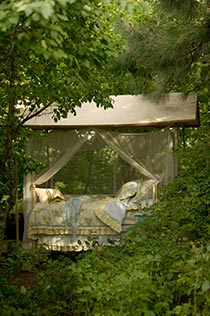 Canopy bed outdoor nestled within foliage of grove of trees